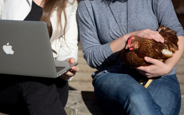 Eine Frau mit Laptop neben einer Frau mit Huhn am Schoß