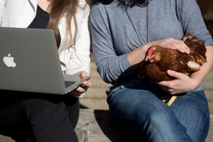 Eine Frau mit Laptop neben einer Frau mit Huhn am Schoß