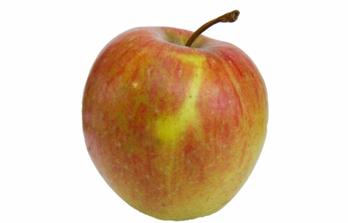 Apfel | © Land schafft Leben Apfel | © Land schafft Leben