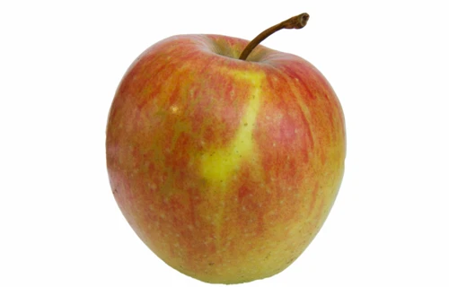 Apfel – Eigenschaften und Tipps im Überblick