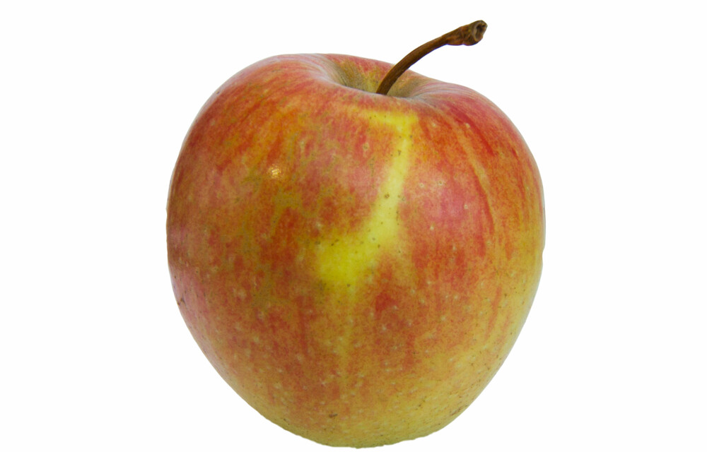 Wissenswertes | Apfel | Land schafft Leben